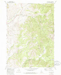 Download a high-resolution, GPS-compatible USGS topo map for Mink Creek, ID (1986 edition)