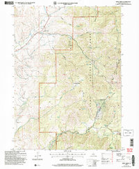 Download a high-resolution, GPS-compatible USGS topo map for Mink Creek, ID (2007 edition)