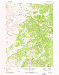 Download a high-resolution, GPS-compatible USGS topo map for Mink Creek, ID (1973 edition)