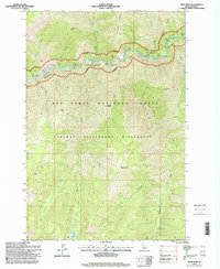 Download a high-resolution, GPS-compatible USGS topo map for Mink Peak, ID (1999 edition)