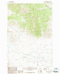 preview thumbnail of historical topo map of Custer County, ID in 1987