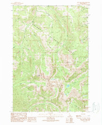Download a high-resolution, GPS-compatible USGS topo map for Mogg Mountain, ID (1989 edition)