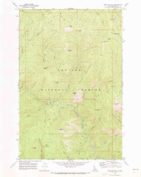 Download a high-resolution, GPS-compatible USGS topo map for Montana Peak, ID (1973 edition)