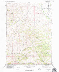 Download a high-resolution, GPS-compatible USGS topo map for Moonlight Mtn, ID (1974 edition)
