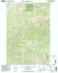 Download a high-resolution, GPS-compatible USGS topo map for Mormon Mountain, ID (2007 edition)