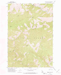 Download a high-resolution, GPS-compatible USGS topo map for Mormon Mtn, ID (1975 edition)