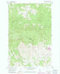 Download a high-resolution, GPS-compatible USGS topo map for Moscow Mountain, ID (1991 edition)