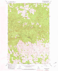 Download a high-resolution, GPS-compatible USGS topo map for Moscow Mtn, ID (1982 edition)