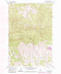 Download a high-resolution, GPS-compatible USGS topo map for Moscow Mtn, ID (1984 edition)