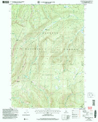 Download a high-resolution, GPS-compatible USGS topo map for Mosquito Peak, ID (2007 edition)
