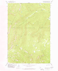 Download a high-resolution, GPS-compatible USGS topo map for Mosquito Peak, ID (1978 edition)