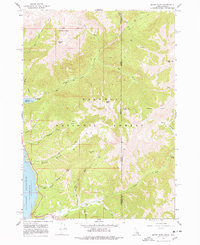 Download a high-resolution, GPS-compatible USGS topo map for Mount Baird, ID (1978 edition)