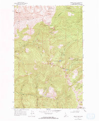 Download a high-resolution, GPS-compatible USGS topo map for Mount Casey, ID (1971 edition)