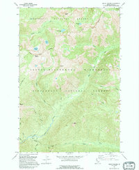 Download a high-resolution, GPS-compatible USGS topo map for Mount Paloma, ID (1995 edition)