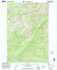 Download a high-resolution, GPS-compatible USGS topo map for Mount Paloma, ID (2002 edition)
