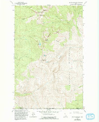 Download a high-resolution, GPS-compatible USGS topo map for Mount Roothaan, ID (1993 edition)