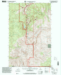 Download a high-resolution, GPS-compatible USGS topo map for Mount Roothaan, ID (1999 edition)