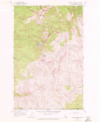 Download a high-resolution, GPS-compatible USGS topo map for Mount Roothaan, ID (1971 edition)