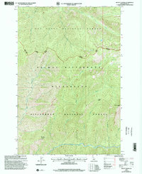 Download a high-resolution, GPS-compatible USGS topo map for Mt George, ID (2002 edition)