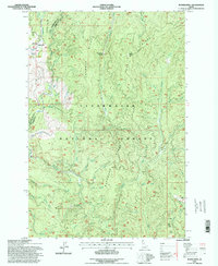 Download a high-resolution, GPS-compatible USGS topo map for Musselshell, ID (1998 edition)