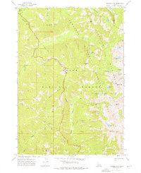 preview thumbnail of historical topo map of Elmore County, ID in 1972