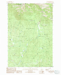 Download a high-resolution, GPS-compatible USGS topo map for Napoleon Hill, ID (1991 edition)
