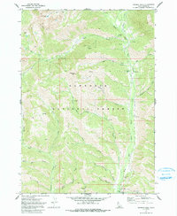 preview thumbnail of historical topo map of Camas County, ID in 1970