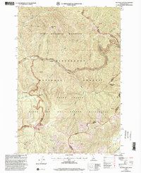 Download a high-resolution, GPS-compatible USGS topo map for Nez Perce Peak, ID (2002 edition)
