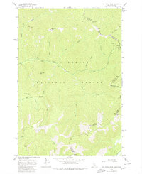 Download a high-resolution, GPS-compatible USGS topo map for Nez Perce Peak, ID (1980 edition)