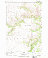 Download a high-resolution, GPS-compatible USGS topo map for Nezperce SE, ID (1971 edition)