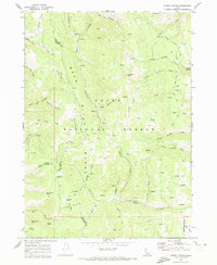 Download a high-resolution, GPS-compatible USGS topo map for North Canyon, ID (1973 edition)