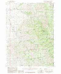 Download a high-resolution, GPS-compatible USGS topo map for North Heglar Canyon, ID (1985 edition)