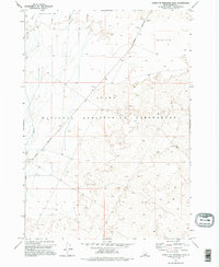 Download a high-resolution, GPS-compatible USGS topo map for North Of Ryegrass Flat, ID (1995 edition)