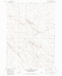 Download a high-resolution, GPS-compatible USGS topo map for Notch Butte, ID (1980 edition)