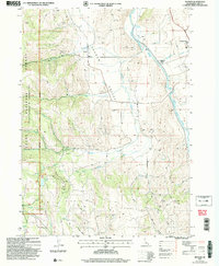 Download a high-resolution, GPS-compatible USGS topo map for Nounan, ID (2007 edition)