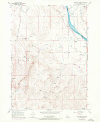 preview thumbnail of historical topo map of Owyhee County, ID in 1957