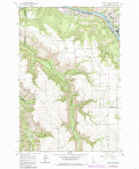 preview thumbnail of historical topo map of Clearwater County, ID in 1984