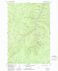Download a high-resolution, GPS-compatible USGS topo map for Orogrande, ID (1987 edition)