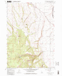 Download a high-resolution, GPS-compatible USGS topo map for Packsaddle Lake, ID (1980 edition)