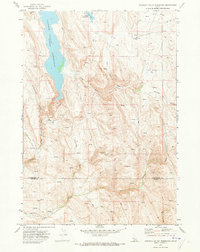 Download a high-resolution, GPS-compatible USGS topo map for Paddock Valley Reservoir, ID (1973 edition)
