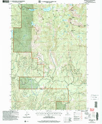 Download a high-resolution, GPS-compatible USGS topo map for Paddy Flat, ID (2007 edition)