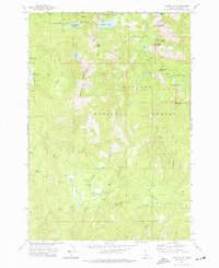 Download a high-resolution, GPS-compatible USGS topo map for Paddy Flat, ID (1977 edition)