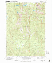Download a high-resolution, GPS-compatible USGS topo map for Paddy Flat, ID (1977 edition)