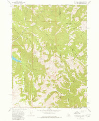 Download a high-resolution, GPS-compatible USGS topo map for Palisades Peak, ID (1980 edition)