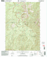 Download a high-resolution, GPS-compatible USGS topo map for Papoose Peak, ID (2007 edition)