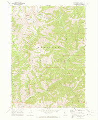 Download a high-resolution, GPS-compatible USGS topo map for Paradise Peak, ID (1973 edition)
