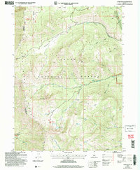 Download a high-resolution, GPS-compatible USGS topo map for Paris Peak, ID (2007 edition)