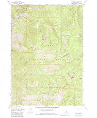 Download a high-resolution, GPS-compatible USGS topo map for Parks Peak, ID (1984 edition)