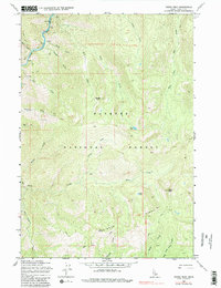 Download a high-resolution, GPS-compatible USGS topo map for Parks Peak, ID (1984 edition)