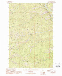 Download a high-resolution, GPS-compatible USGS topo map for Peggy Peak, ID (1988 edition)